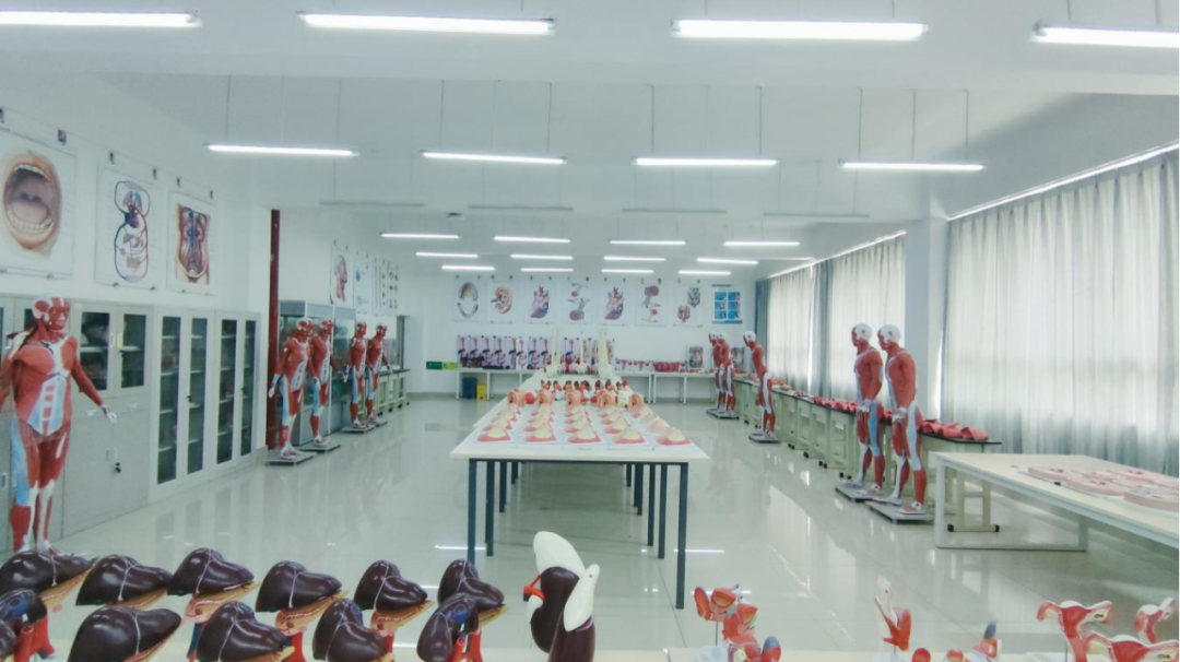 best365官方网站特色专业 | 医学影像技术