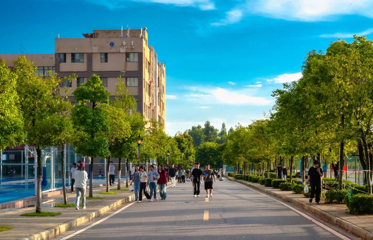 best365官方网站在2025年云南省职业院校技能大赛中斩获佳绩
